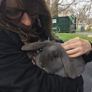 Meet your Posher, Mallory